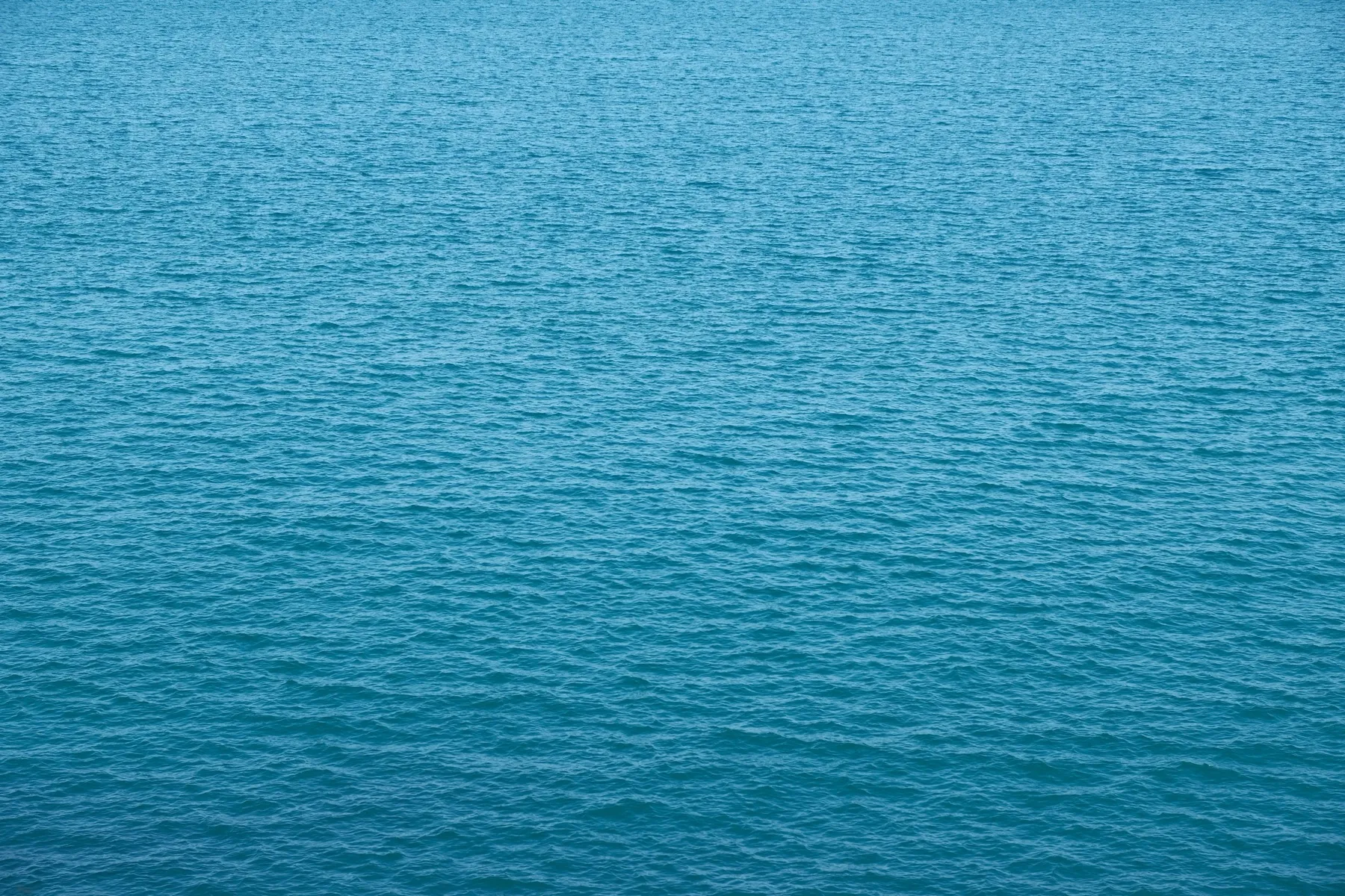 Calm blue sea water at the surface.